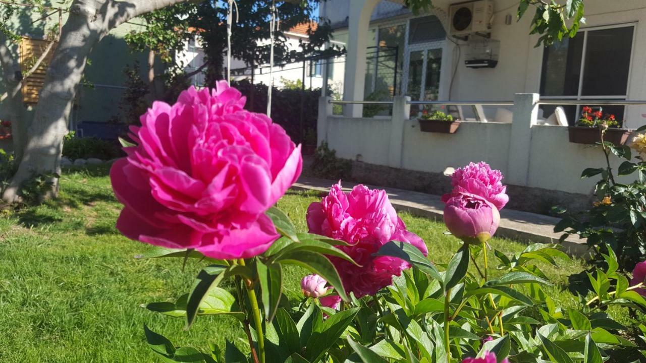 Apartments David Murter Zewnętrze zdjęcie
